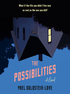 cover image of The Possibilities